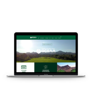 Website Design